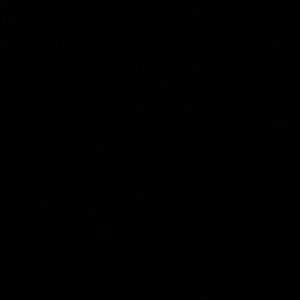 Meet your Posher, Jillana